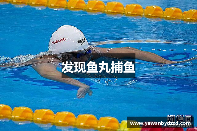 发现鱼丸捕鱼